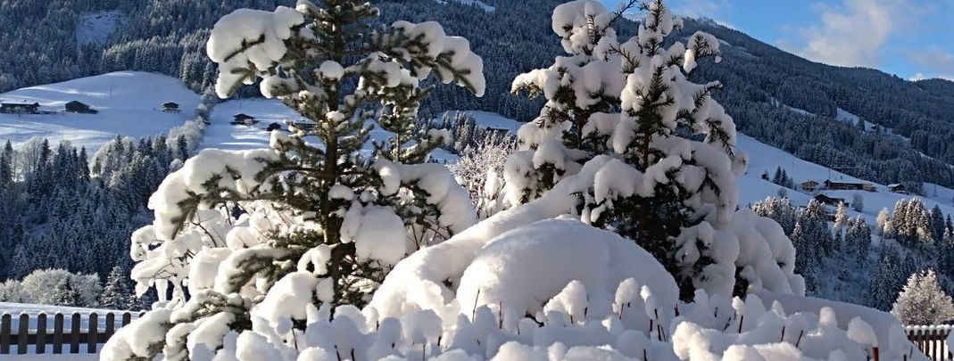 Detaillierte Infos zur Unterkunft Der Alpbacherhof Natur & Spa Resort