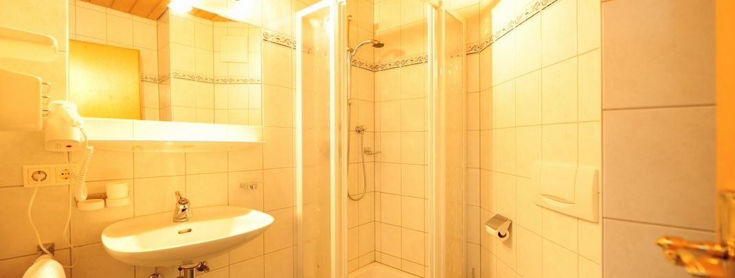 Detaillierte Infos zur Unterkunft Hotel-Gasthof zum Schwanen