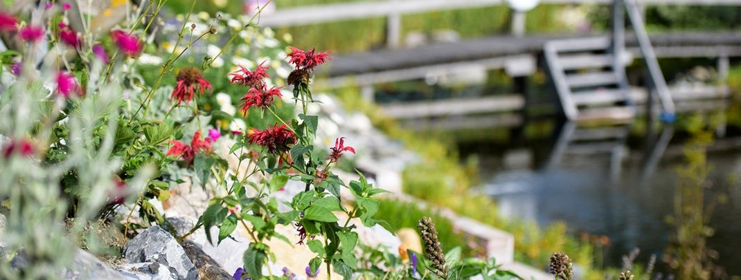 Detaillierte Infos zur Unterkunft Hotel Traube