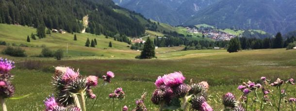 General information about your stay at Kneringerhof