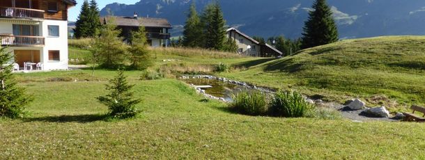 Detaillierte Infos zur Unterkunft Cresta Sartons/Brenn