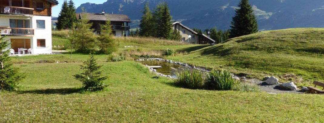 Detaillierte Infos zur Unterkunft Cresta Sartons/Brenn