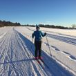 Information on Cross-Country Skiing at Oberweißbach