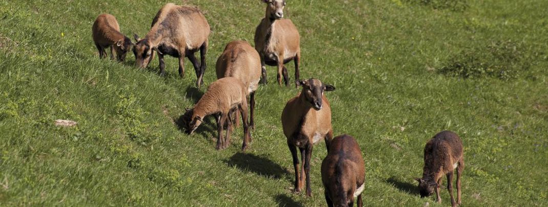 General information about your stay at Mühl-Fun-Viertel Grenzlandcamp Klaffer