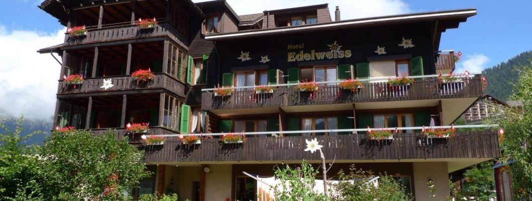 Detaillierte Infos zur Unterkunft Hotel Edelweiss