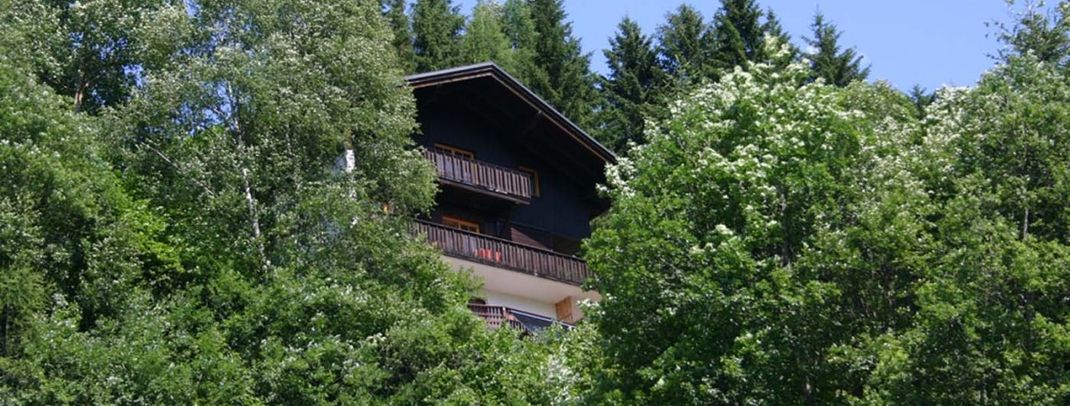 Haus im Sommer, von unten gesehen