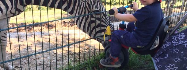 Tierpark Altenfelden