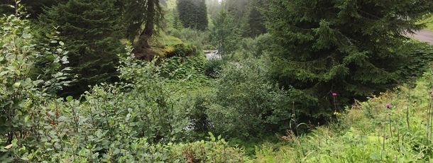 General information about your stay at Ferienhäuser Silvrettablick