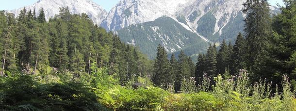 Detaillierte Infos zur Unterkunft B&B Gästehaus Alpenblick Lermoos / Zugspitze