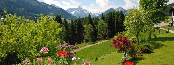 Aussicht vom Balkon Widderstein
