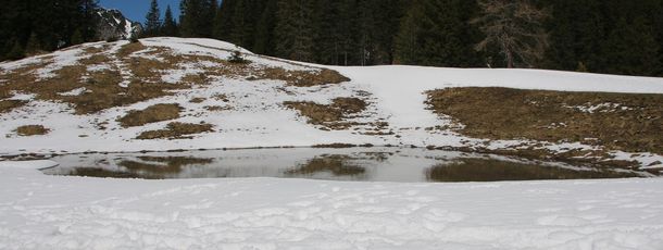 Langsam taut die Natur auf.