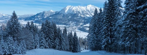 Die Pisten am Höllwies-Lift eignen sich für geübte Skifahrer.
