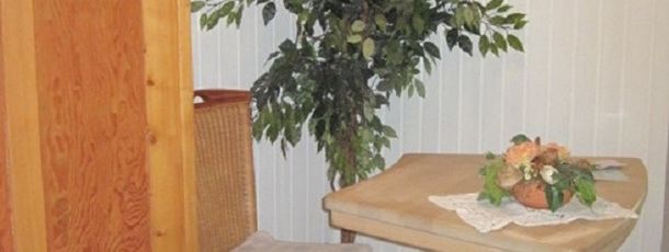 General information about your stay at Haus Janßen-Wehrle