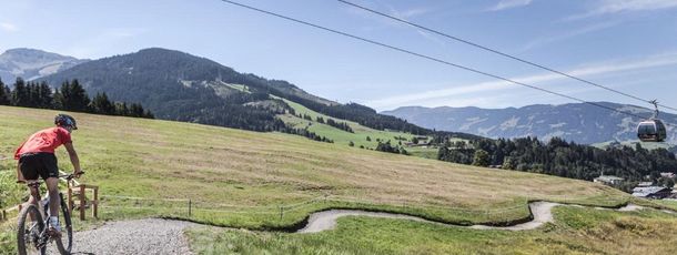 General information about your stay at Pension/Appartements Alpenblick