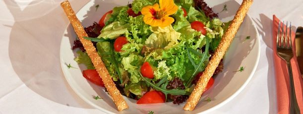 Detaillierte Infos zur Unterkunft Alpenhof-Annaberg***