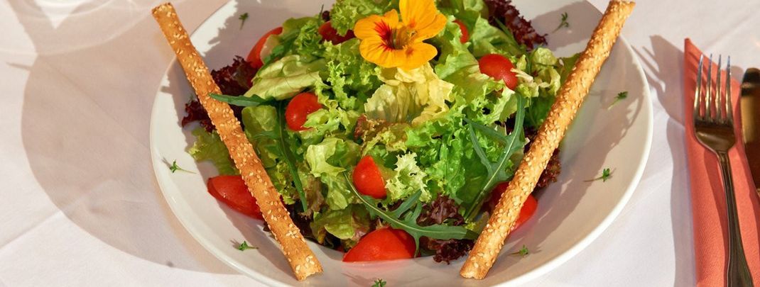 General information about your stay at Alpenhof-Annaberg***