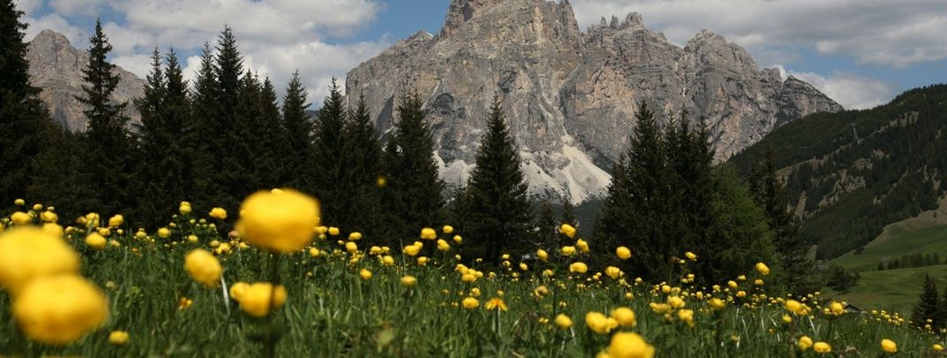 General information about your stay at Hotel Sassongher