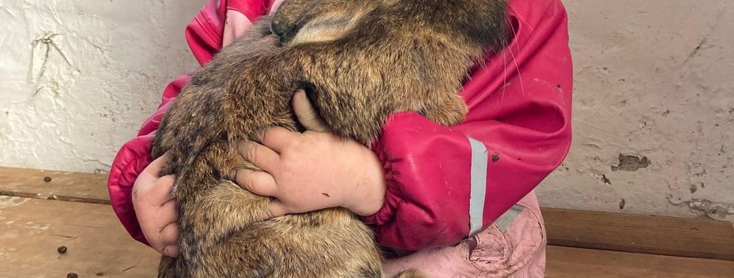 Detaillierte Infos zur Unterkunft Berghotel Presslauer