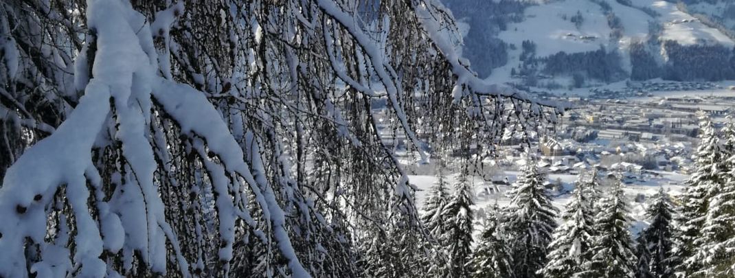 Detaillierte Infos zur Unterkunft Mitterunterberghof