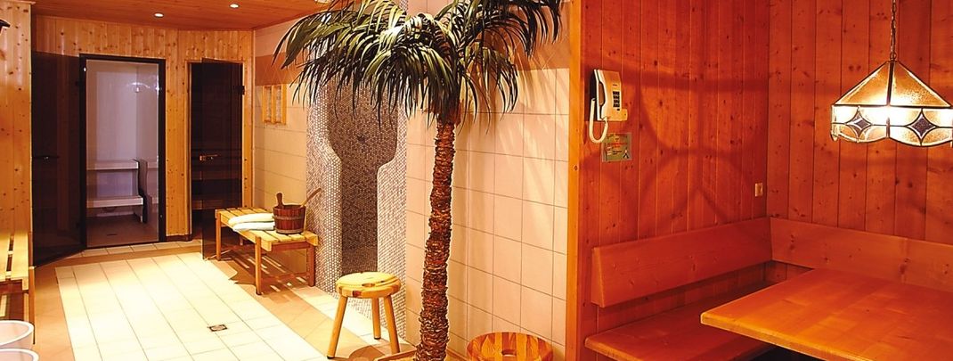 Wellnessbereich mit Sauna und Dampfbad