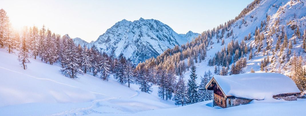 So stellen wir uns Weihnachten vor.