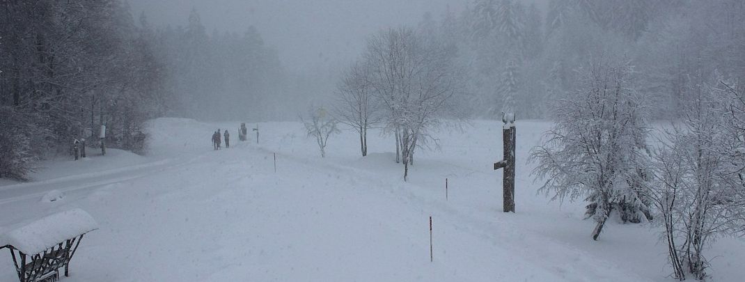 Im Bayerischen Wald, wie hier in Drachselsried, sind seit dem frühen Donnerstagmorgen bereits rund 30cm gefallen.