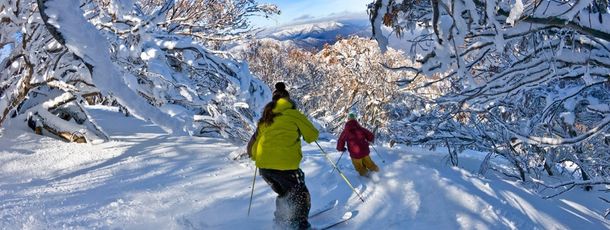 Mt Buller liegt in den Snowy Mountains.
