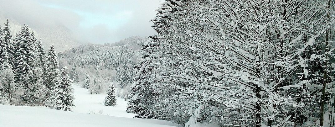 General information about your stay at Gästehaus Vogler