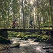 Urlaubsempfehlung: die geführten Mountainbike Touren von Bodenmais