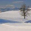 Langlauf mit Blick auf die Nagelfluhkette im Voralpenland bei Isny im Allgäu