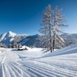 45 Pistenkilometer für Anfänger und Könner in Zauchensee/Flachauwinkl