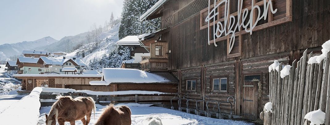 Detaillierte Infos zur Unterkunft Feriendorf Holzleb'n