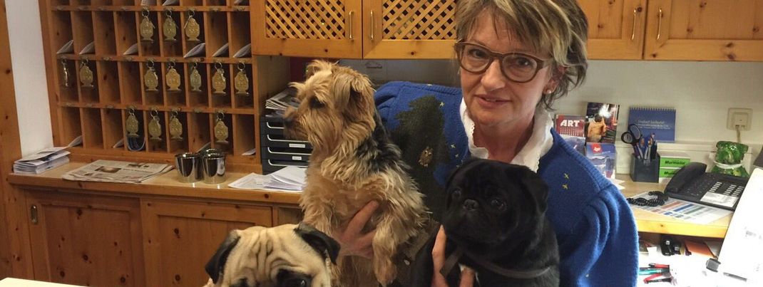 Herzlich willkommen!