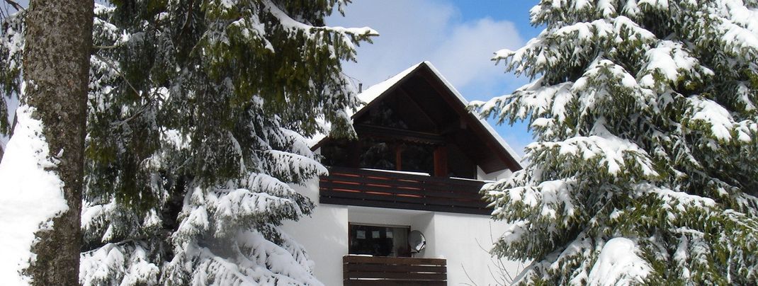 General information about your stay at Ferienwohnung Reckert