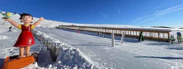 Information about the ski resort Heidi-Alm Skipark - Falkert