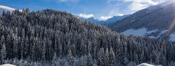 Detaillierte Infos zur Unterkunft Hotel Alphof