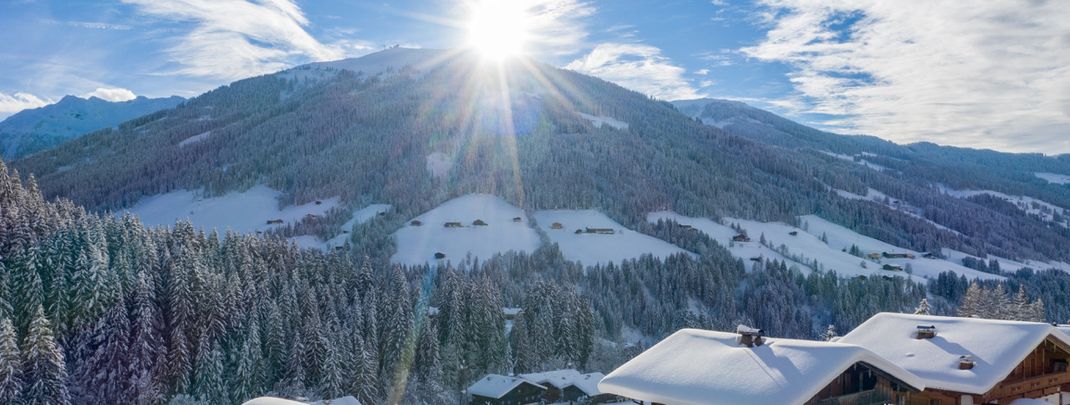 Detaillierte Infos zur Unterkunft Hotel Alphof