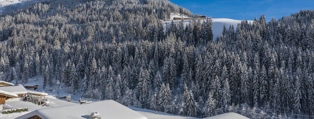 Detaillierte Infos zur Unterkunft Hotel Alphof