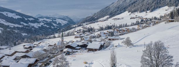 Detaillierte Infos zur Unterkunft Hotel Alphof