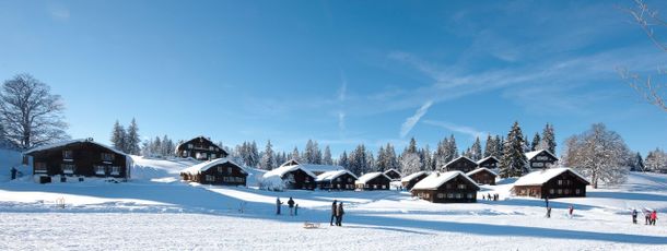 Information about the ski resort Schwarzenberg Bödele