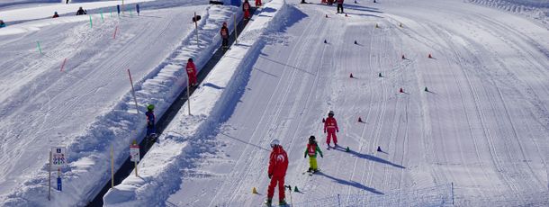 Paulis Skiarena