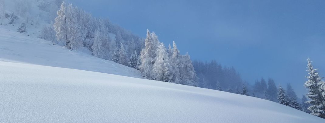 Detaillierte Infos zur Unterkunft Hotel Gänsleit