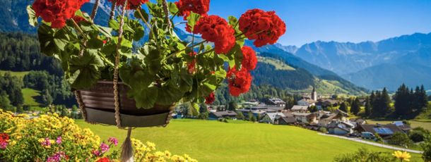 Detaillierte Infos zur Unterkunft Obergrundhof Biobauernhof