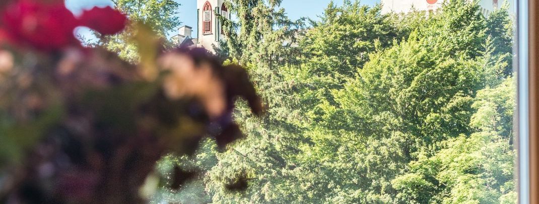 Detaillierte Infos zur Unterkunft Ferienhaus Chalet Schlossblick