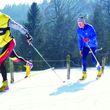Information on Cross-Country Skiing at Snow World Züschen