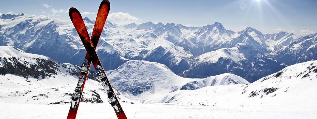 General information about your stay at Collina