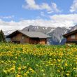 General information about your stay at Chalet Laackerhof