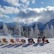 Detaillierte Infos zum Skiurlaub im Skigebiet Tegelberg Schwangau