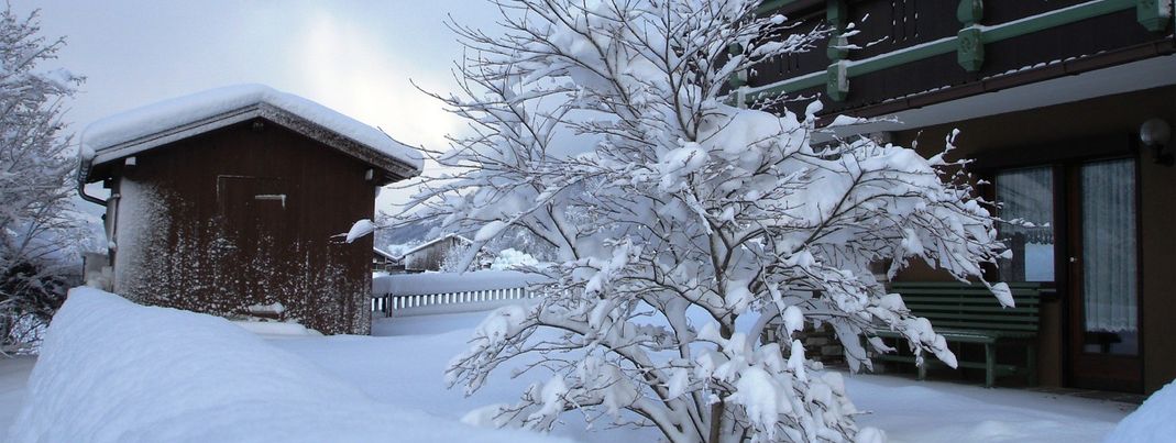 Detaillierte Infos zur Unterkunft Appartement Hollaus