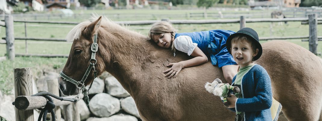 Detaillierte Infos zur Unterkunft Familienhotel Sonnwies Dolomites